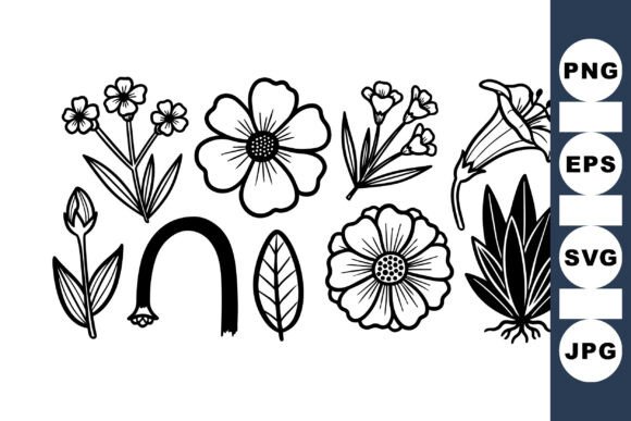 Download Hand Drawn Floral Vector Set - Vector Collection