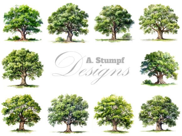 Download Oak Tree Watercolor Clipart Set - Premium Bundle