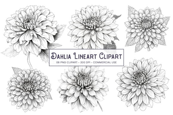 Download Dahlia Line Art Flower PNG Sublimation - Line art flower Collection
